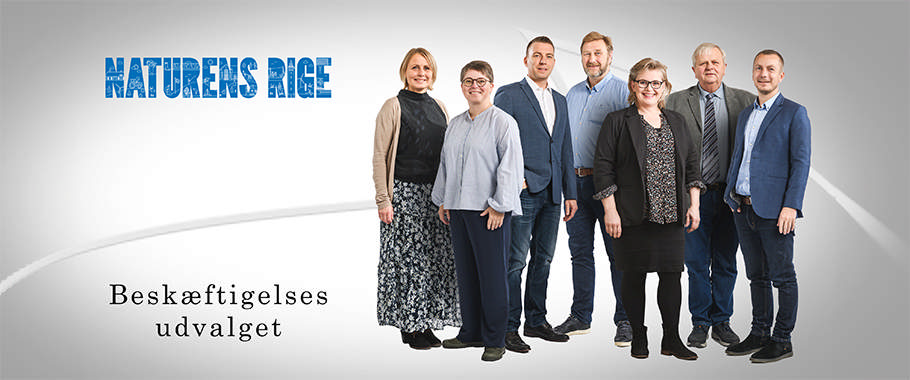 Beskæftigelsesudvalget Beskæftigelsesudvalget